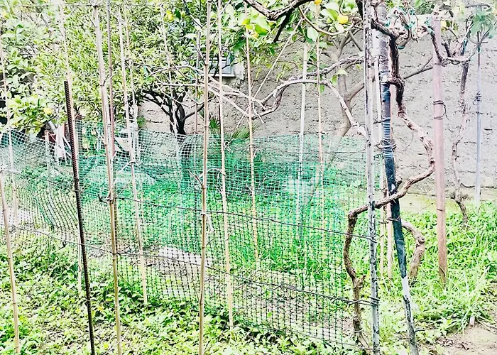 Eos Apartament Rzym